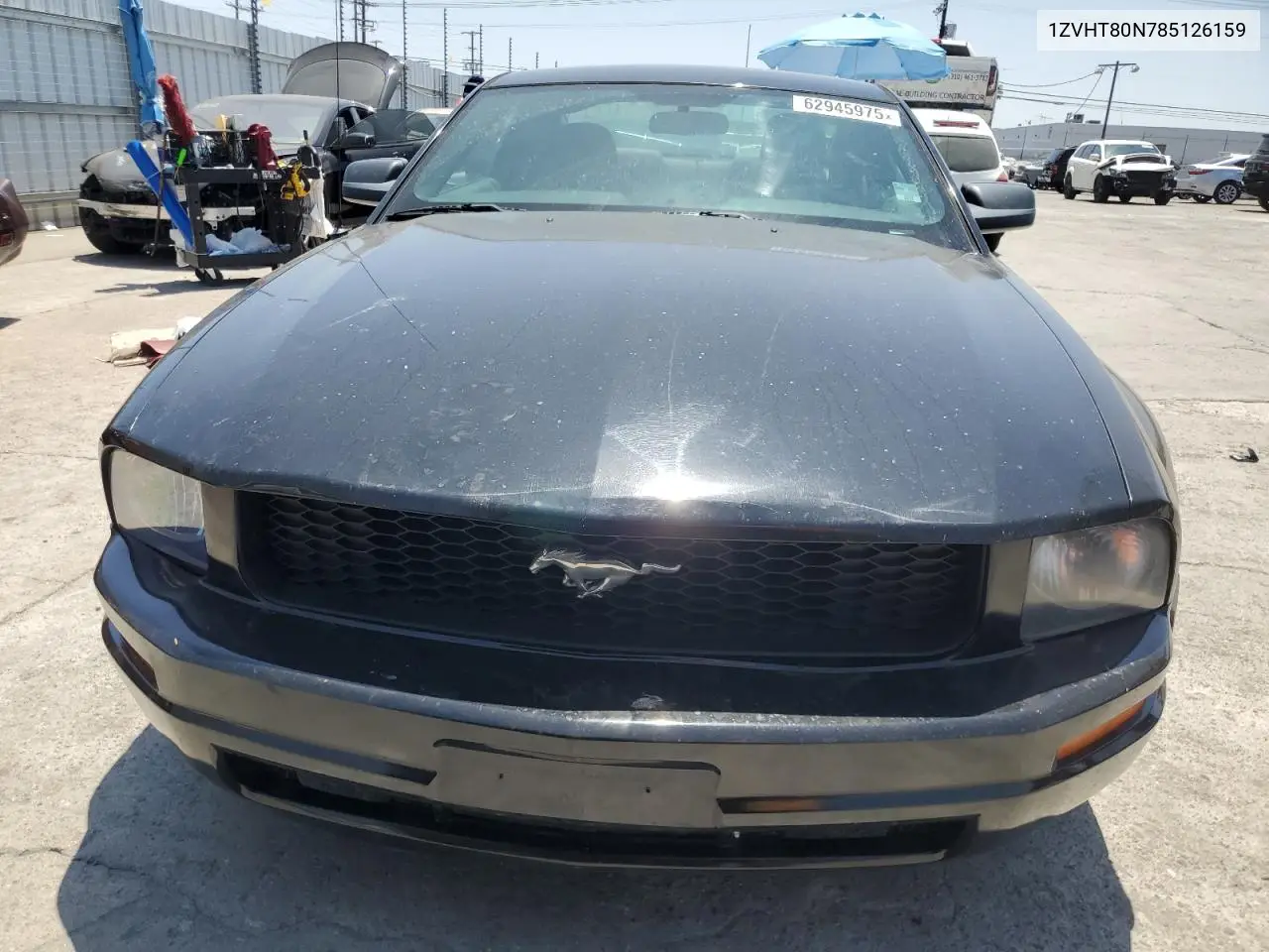 2008 Ford Mustang VIN: 1ZVHT80N785126159 Lot: 62945975