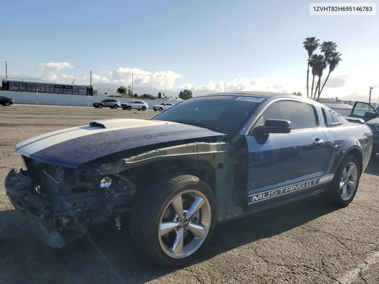 2009 Ford Mustang Gt VIN: 1ZVHT82H695146783 Lot: 56411175