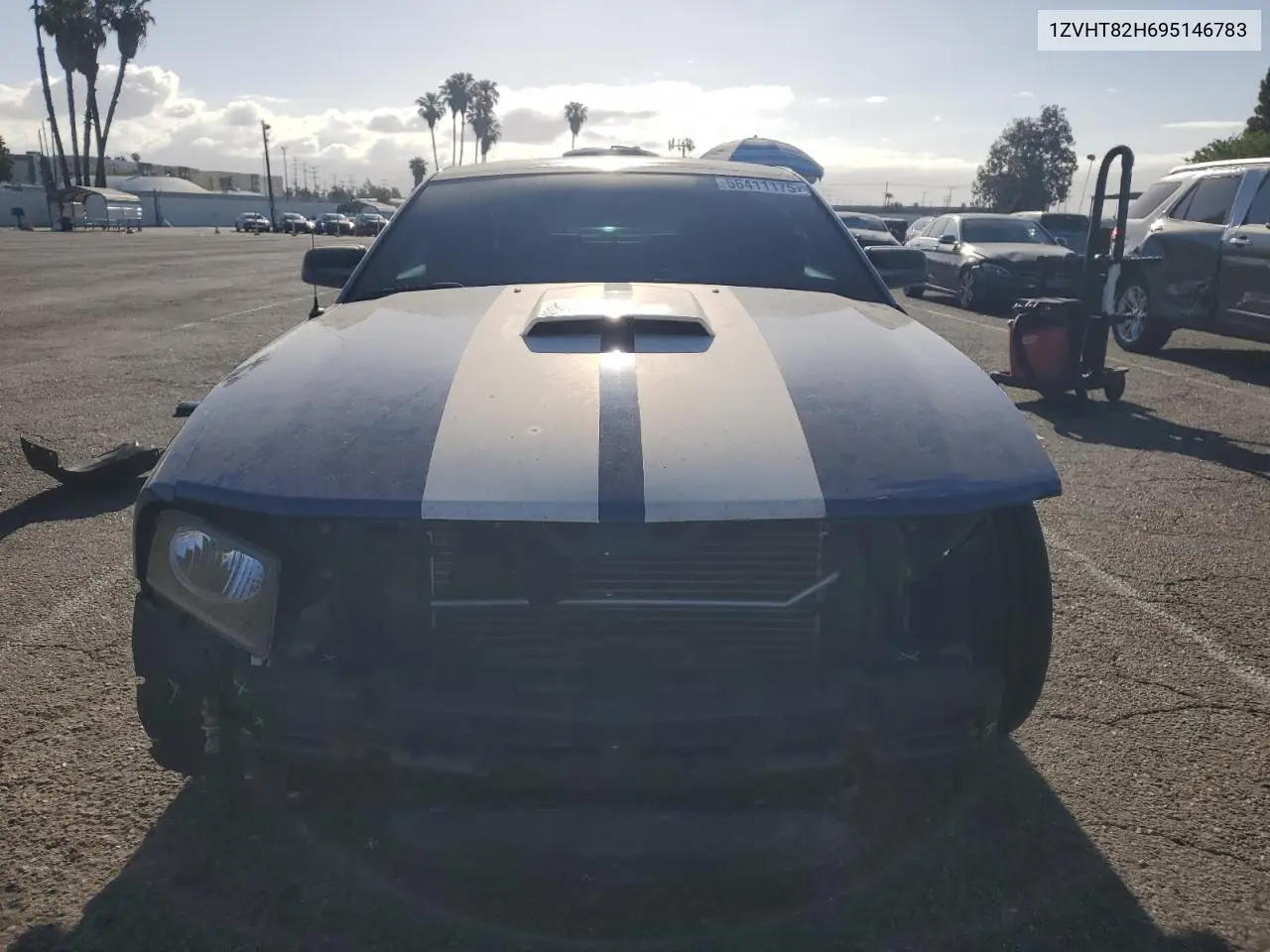 2009 Ford Mustang Gt VIN: 1ZVHT82H695146783 Lot: 56411175