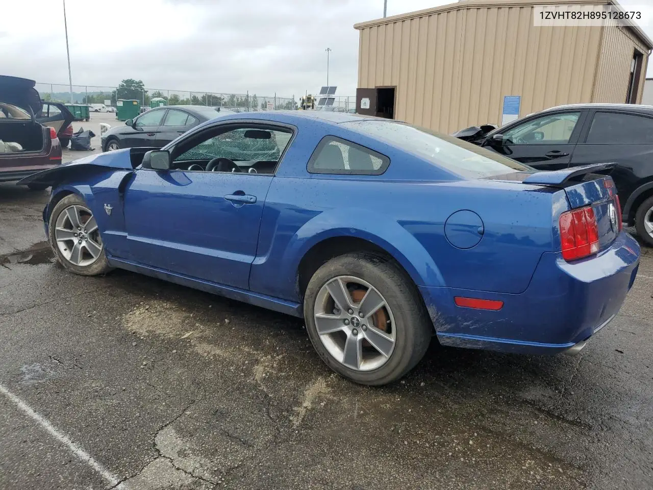 2009 Ford Mustang Gt VIN: 1ZVHT82H895128673 Lot: 59775835