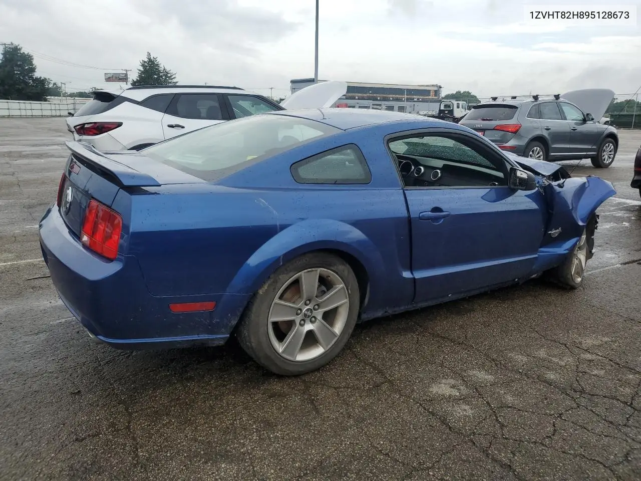 2009 Ford Mustang Gt VIN: 1ZVHT82H895128673 Lot: 59775835