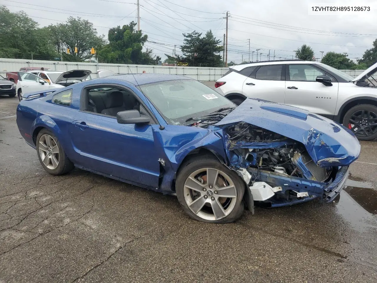 2009 Ford Mustang Gt VIN: 1ZVHT82H895128673 Lot: 59775835