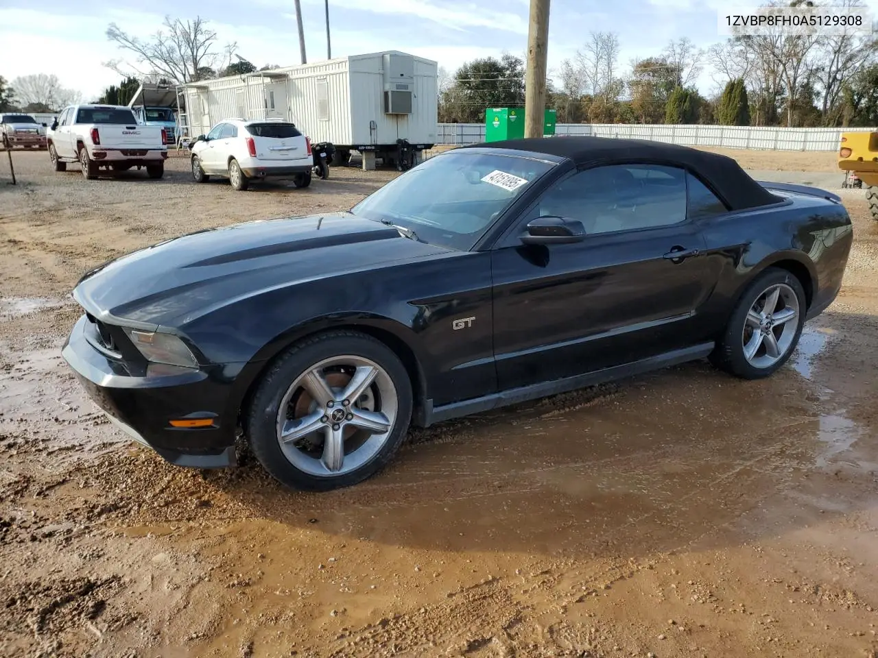 2010 Ford Mustang Gt VIN: 1ZVBP8FH0A5129308 Lot: 57036235