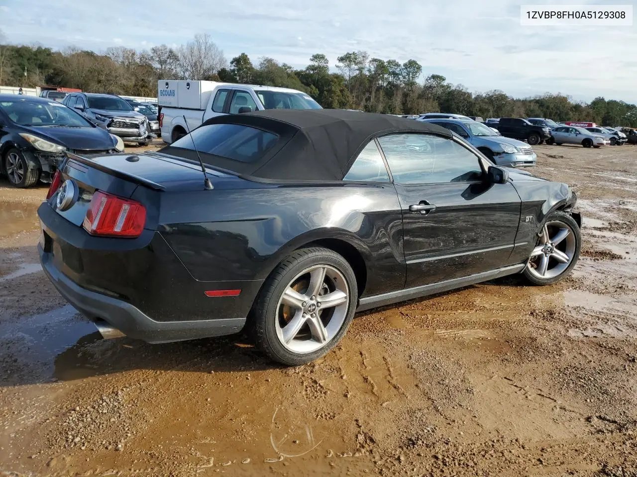 2010 Ford Mustang Gt VIN: 1ZVBP8FH0A5129308 Lot: 57036235