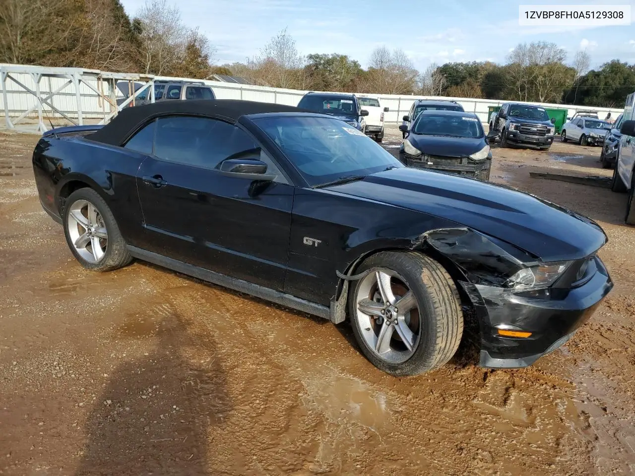 2010 Ford Mustang Gt VIN: 1ZVBP8FH0A5129308 Lot: 57036235