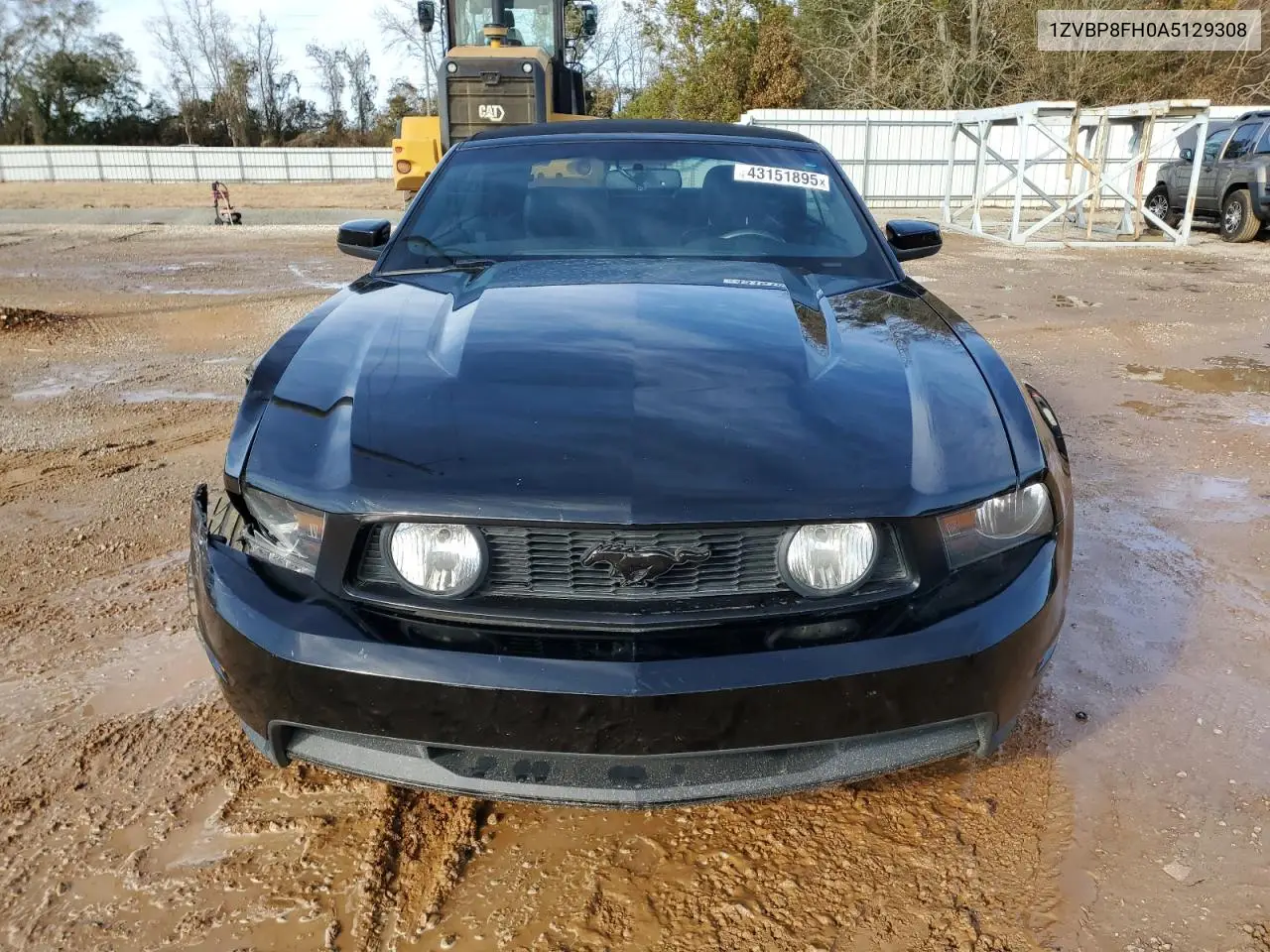 2010 Ford Mustang Gt VIN: 1ZVBP8FH0A5129308 Lot: 57036235