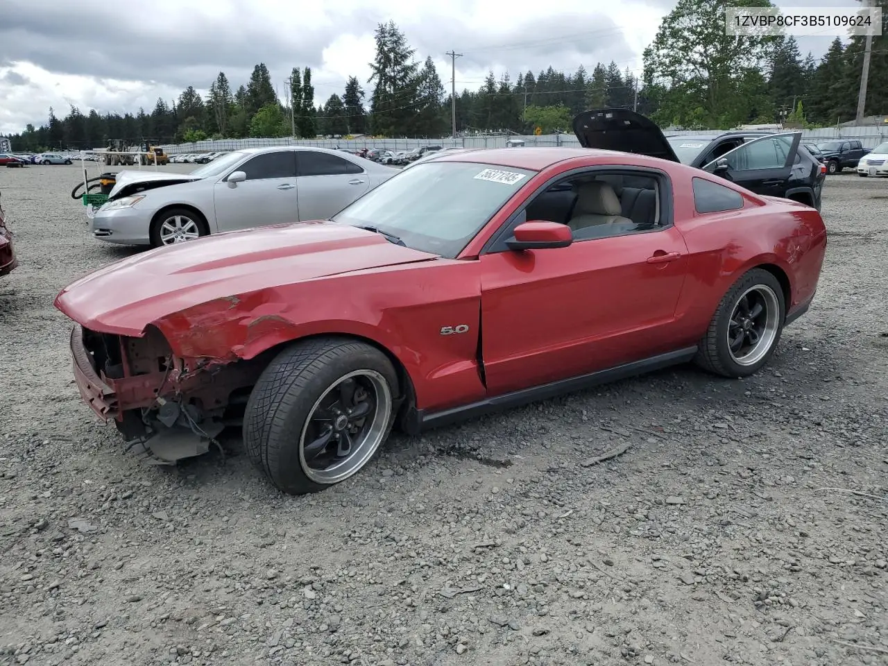 2011 Ford Mustang Gt VIN: 1ZVBP8CF3B5109624 Lot: 56371245