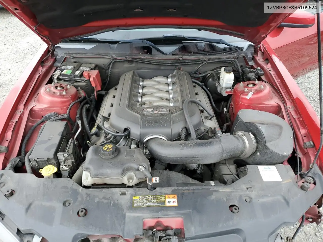 2011 Ford Mustang Gt VIN: 1ZVBP8CF3B5109624 Lot: 56371245