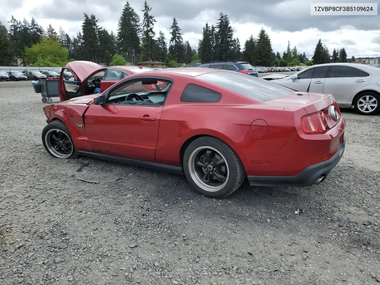 2011 Ford Mustang Gt VIN: 1ZVBP8CF3B5109624 Lot: 56371245