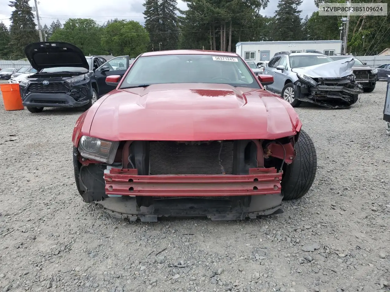 2011 Ford Mustang Gt VIN: 1ZVBP8CF3B5109624 Lot: 56371245