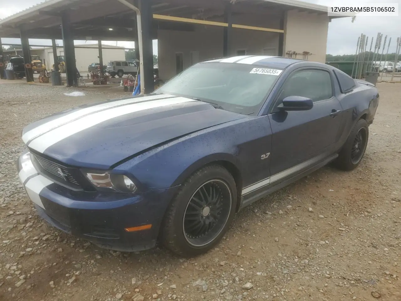 2011 Ford Mustang VIN: 1ZVBP8AM5B5106502 Lot: 56765035