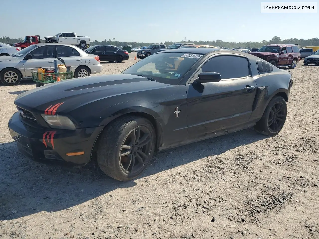 2012 Ford Mustang VIN: 1ZVBP8AMXC5202904 Lot: 56834625