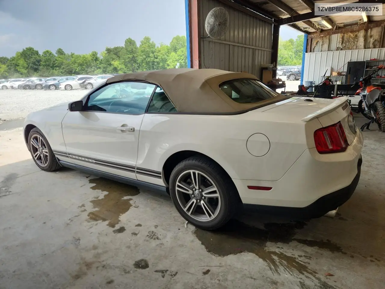 2012 Ford Mustang VIN: 1ZVBP8EM8C5286375 Lot: 62468165