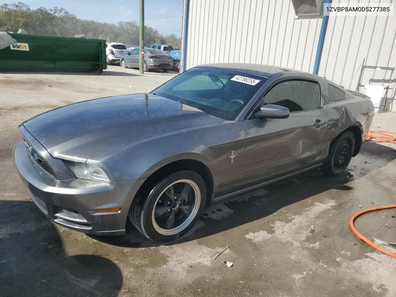 2013 Ford Mustang VIN: 1ZVBP8AM0D5277385 Lot: 42786255