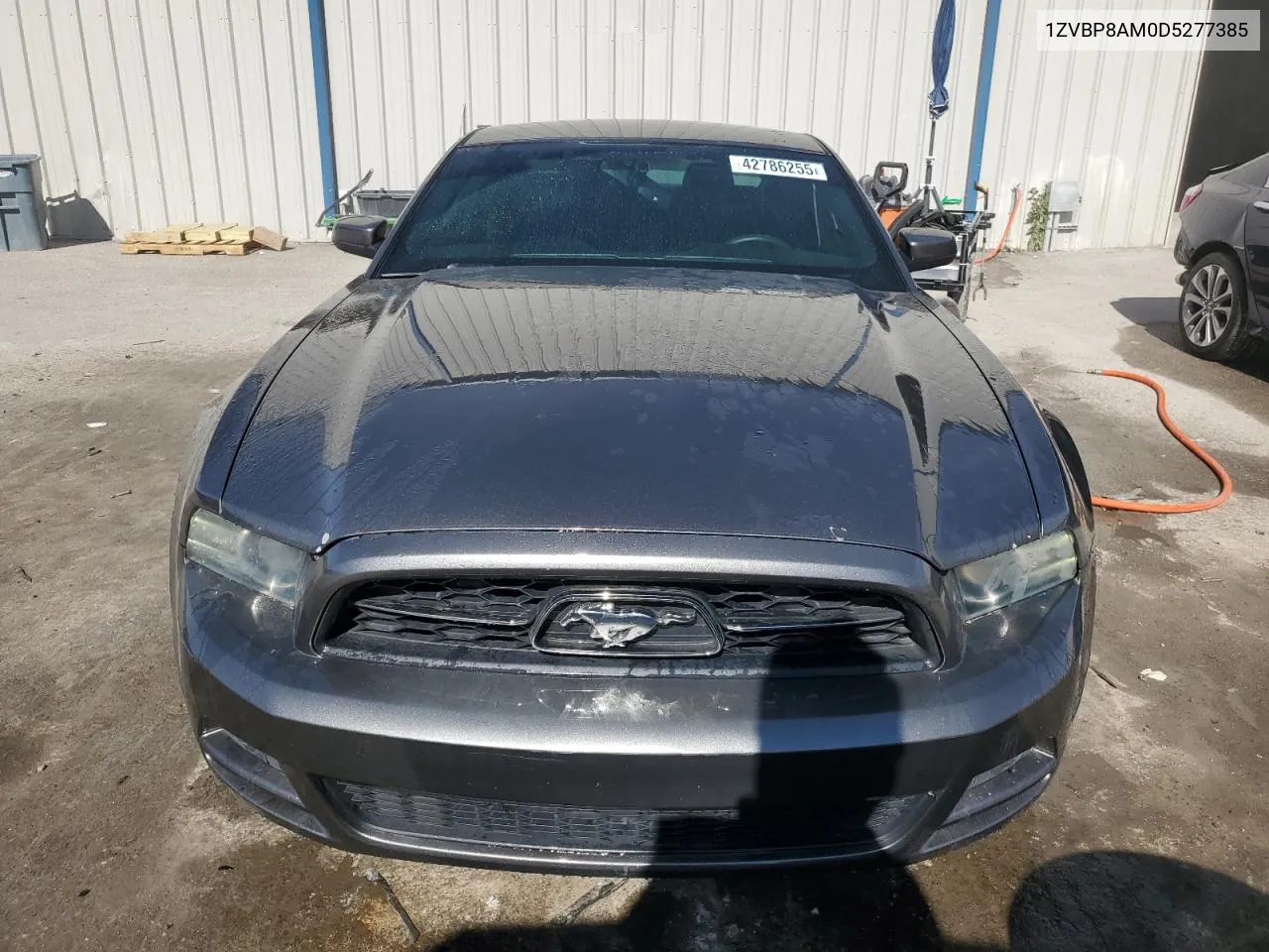 2013 Ford Mustang VIN: 1ZVBP8AM0D5277385 Lot: 42786255