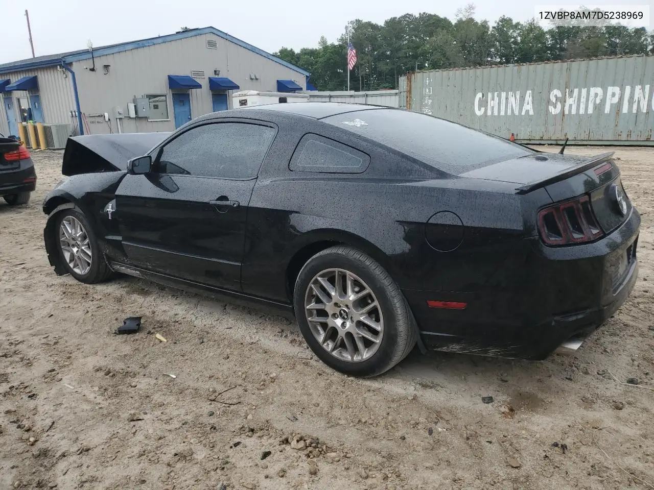2013 Ford Mustang VIN: 1ZVBP8AM7D5238969 Lot: 56053985