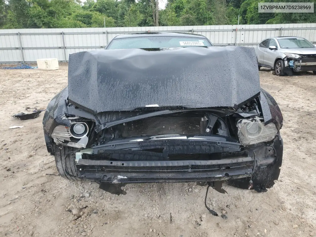 2013 Ford Mustang VIN: 1ZVBP8AM7D5238969 Lot: 56053985