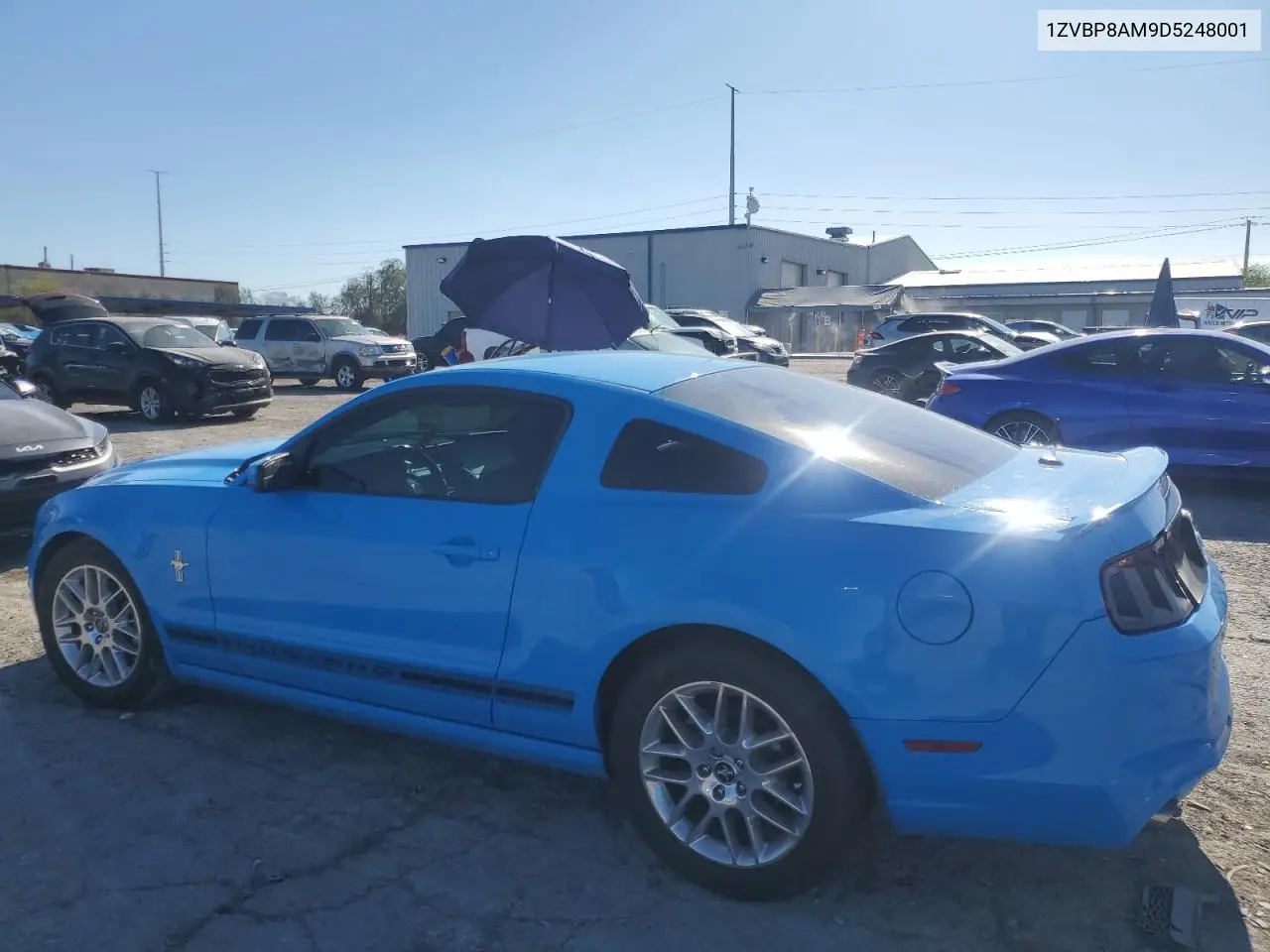 2013 Ford Mustang VIN: 1ZVBP8AM9D5248001 Lot: 56514375