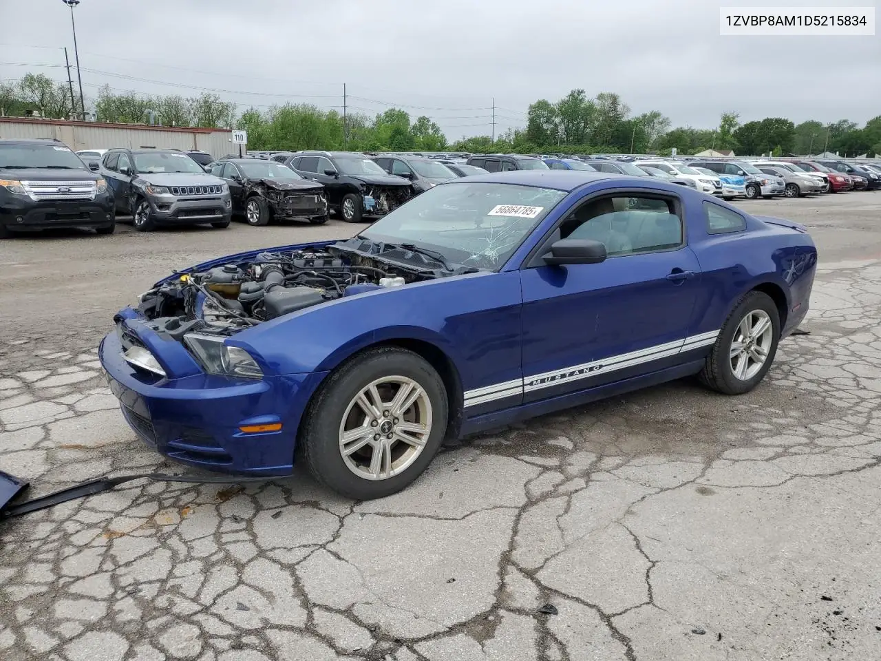 2013 Ford Mustang VIN: 1ZVBP8AM1D5215834 Lot: 56864785