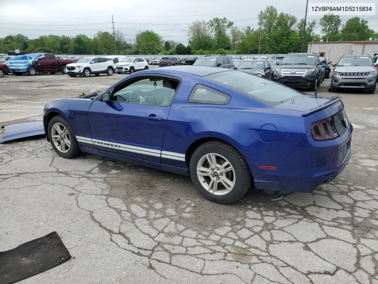 2013 Ford Mustang VIN: 1ZVBP8AM1D5215834 Lot: 56864785