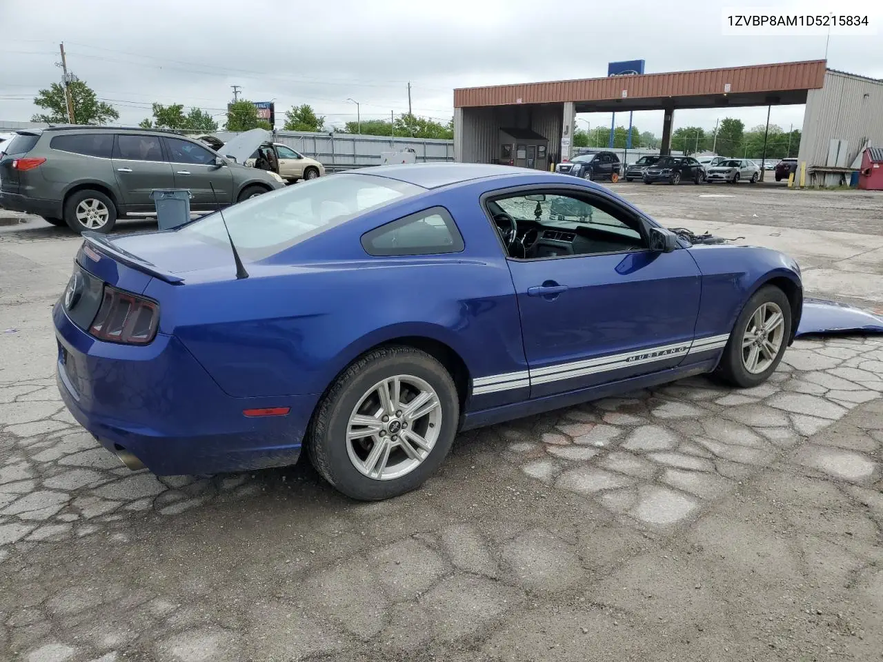2013 Ford Mustang VIN: 1ZVBP8AM1D5215834 Lot: 56864785