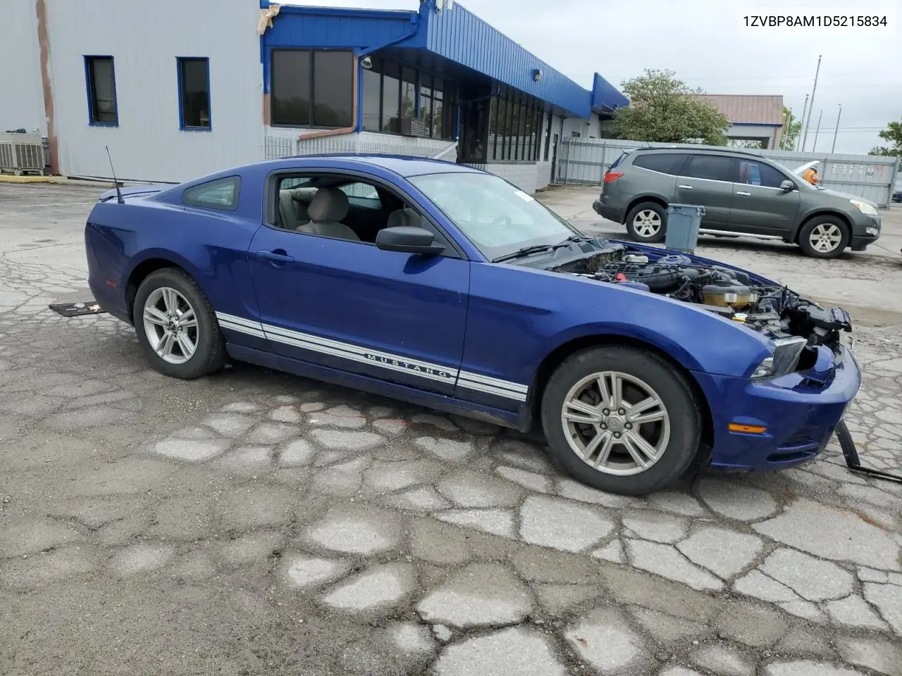 2013 Ford Mustang VIN: 1ZVBP8AM1D5215834 Lot: 56864785