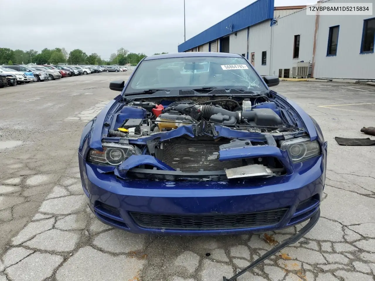2013 Ford Mustang VIN: 1ZVBP8AM1D5215834 Lot: 56864785