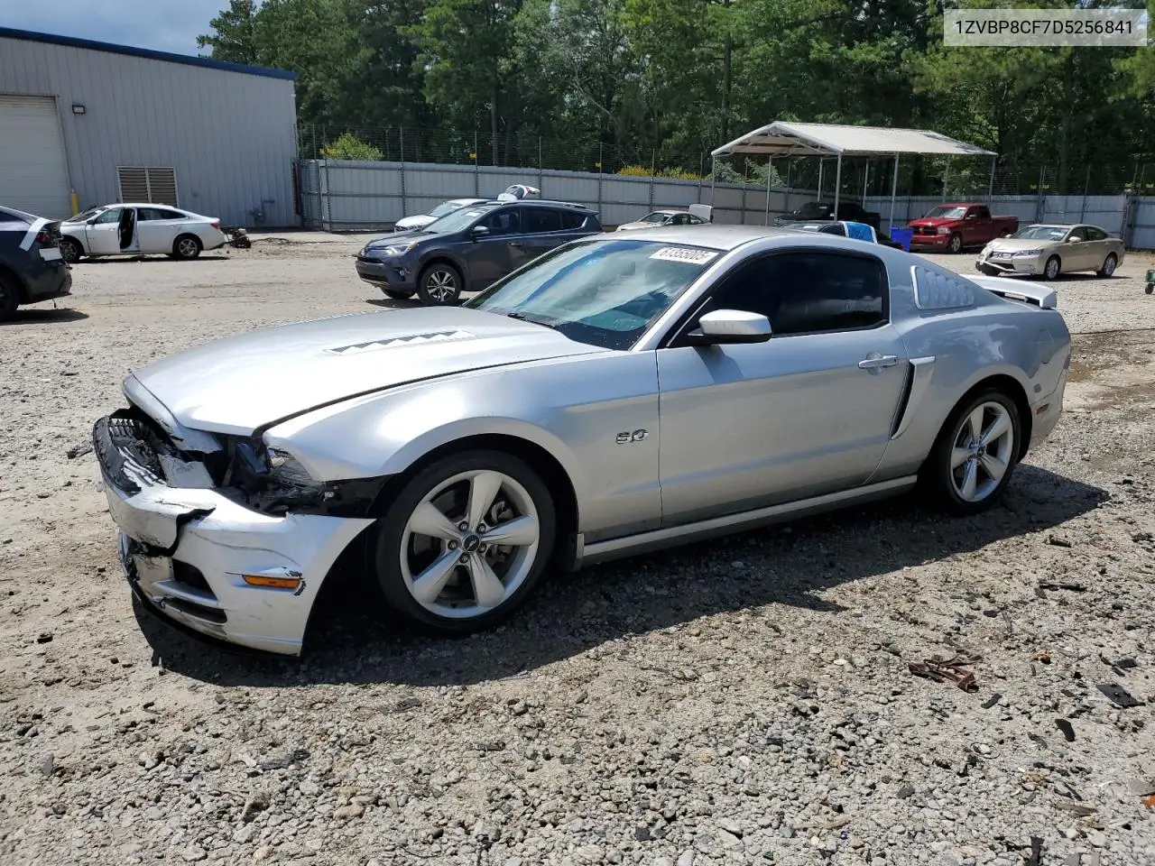 2013 Ford Mustang Gt VIN: 1ZVBP8CF7D5256841 Lot: 61355005