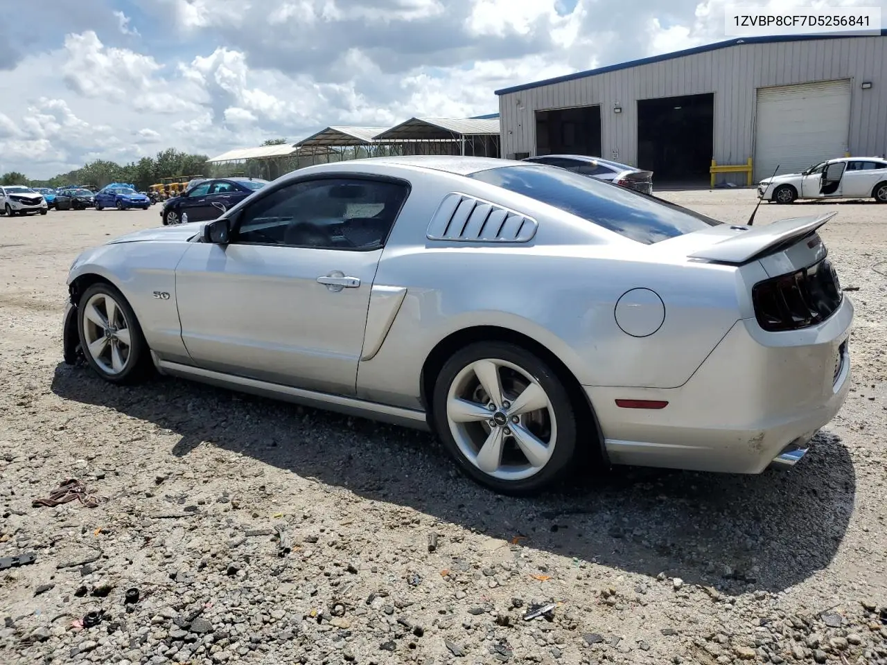 2013 Ford Mustang Gt VIN: 1ZVBP8CF7D5256841 Lot: 61355005