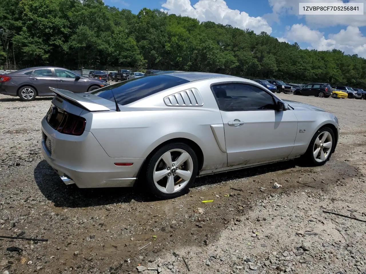 2013 Ford Mustang Gt VIN: 1ZVBP8CF7D5256841 Lot: 61355005