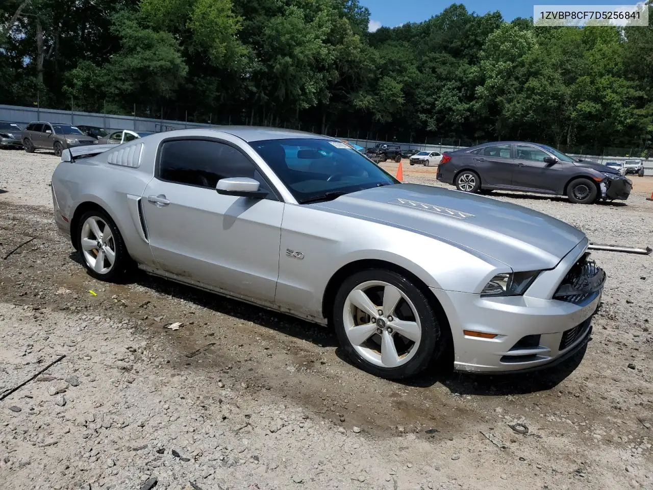 2013 Ford Mustang Gt VIN: 1ZVBP8CF7D5256841 Lot: 61355005