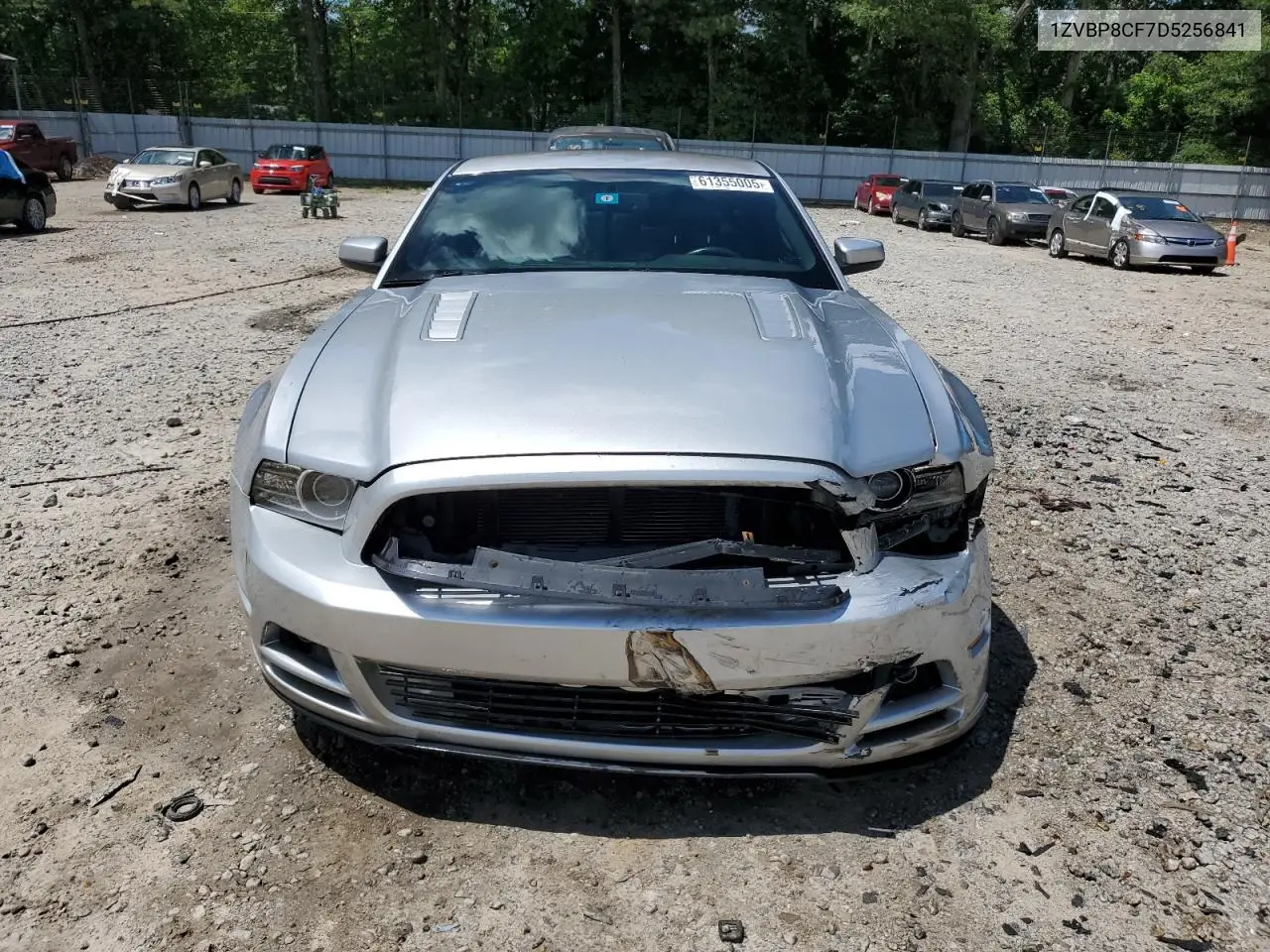 2013 Ford Mustang Gt VIN: 1ZVBP8CF7D5256841 Lot: 61355005