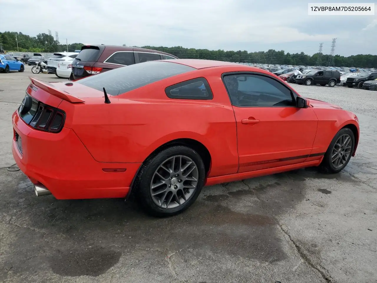 2013 Ford Mustang VIN: 1ZVBP8AM7D5205664 Lot: 62901385