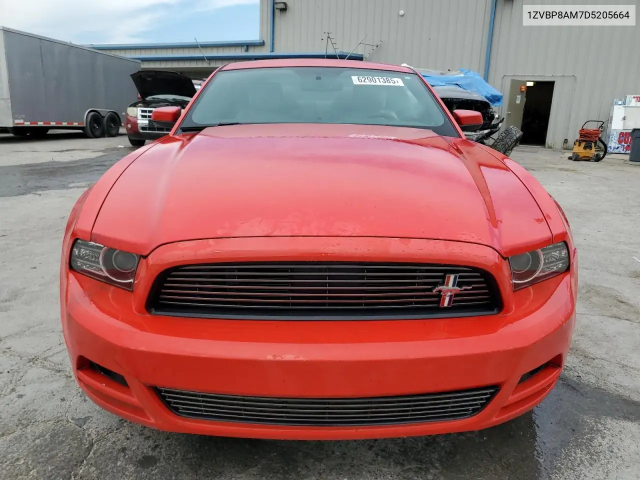 2013 Ford Mustang VIN: 1ZVBP8AM7D5205664 Lot: 62901385