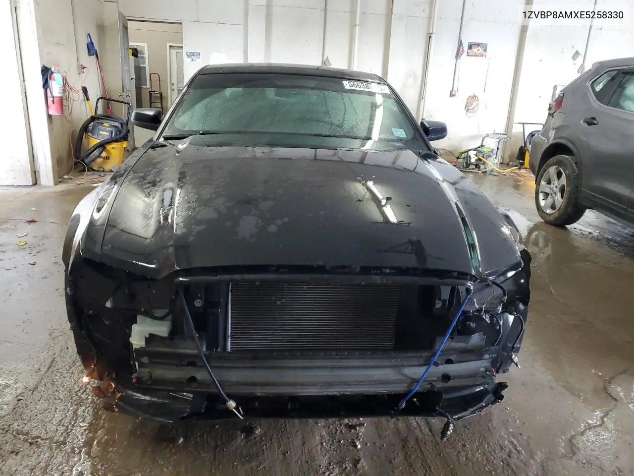 2014 Ford Mustang VIN: 1ZVBP8AMXE5258330 Lot: 56638925