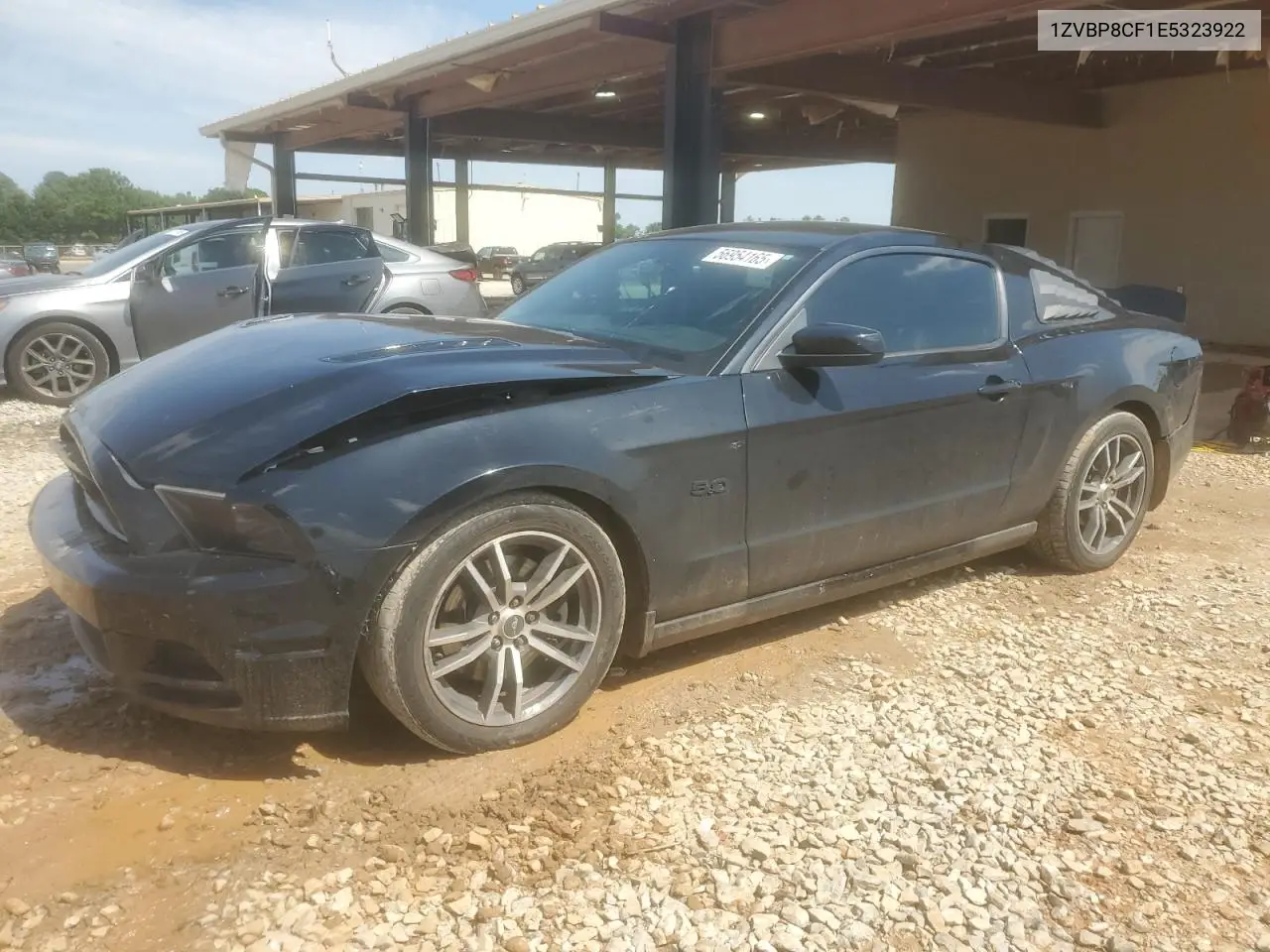 2014 Ford Mustang Gt VIN: 1ZVBP8CF1E5323922 Lot: 56954165