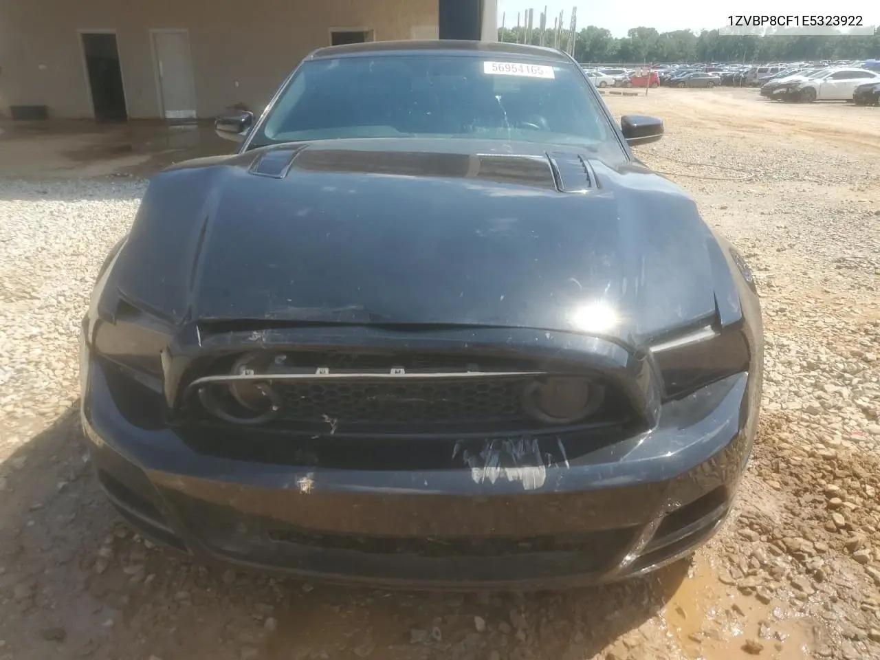 2014 Ford Mustang Gt VIN: 1ZVBP8CF1E5323922 Lot: 56954165