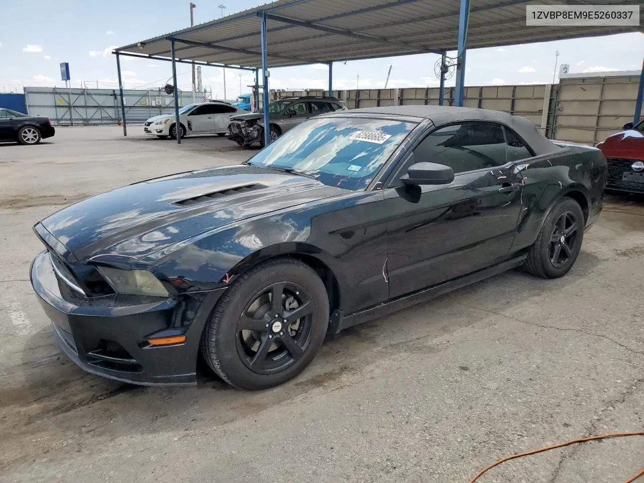 2014 Ford Mustang VIN: 1ZVBP8EM9E5260337 Lot: 62588685