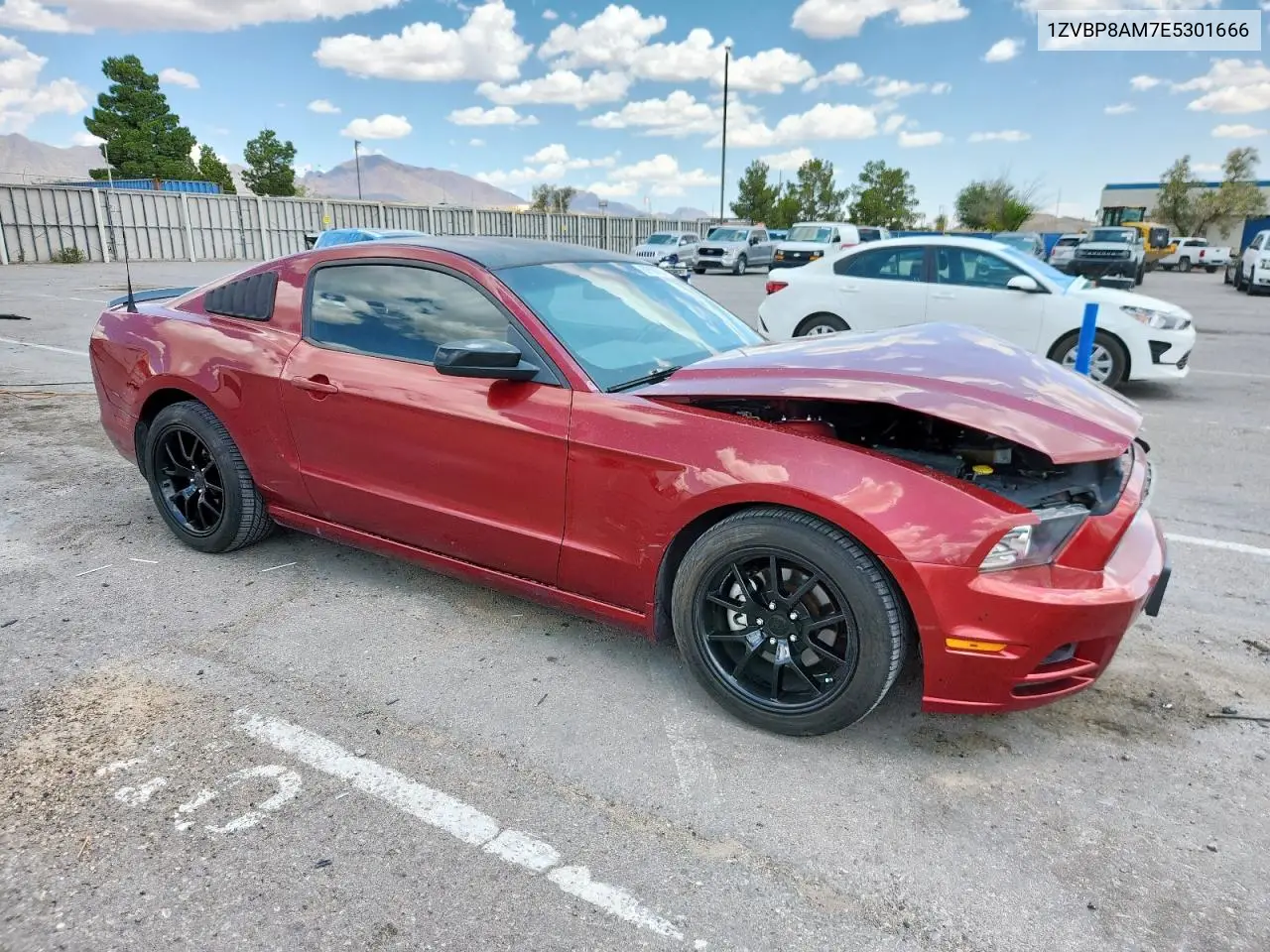 2014 Ford Mustang VIN: 1ZVBP8AM7E5301666 Lot: 62956785