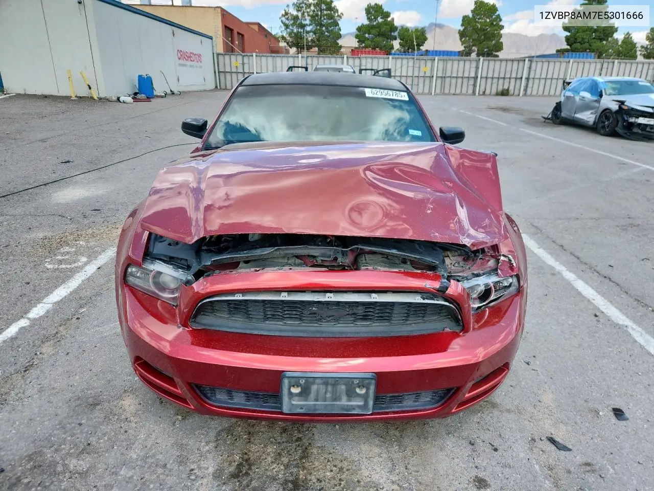 2014 Ford Mustang VIN: 1ZVBP8AM7E5301666 Lot: 62956785
