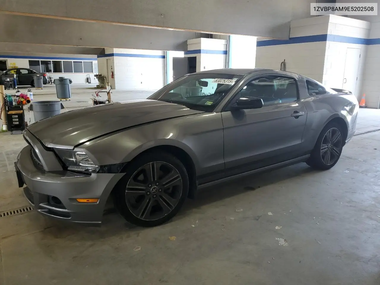 2014 Ford Mustang VIN: 1ZVBP8AM9E5202508 Lot: 63025315
