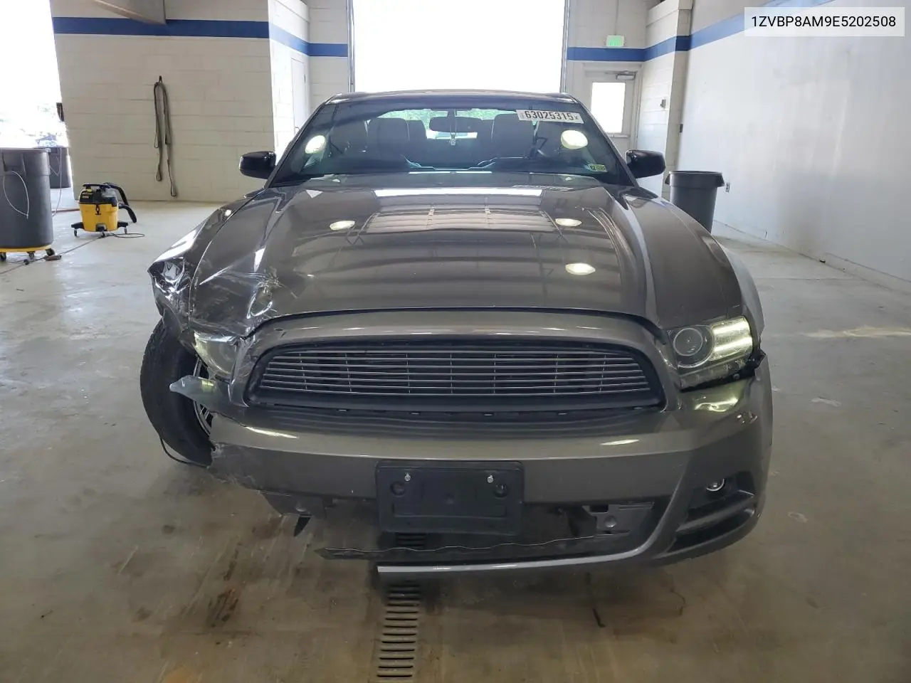 2014 Ford Mustang VIN: 1ZVBP8AM9E5202508 Lot: 63025315