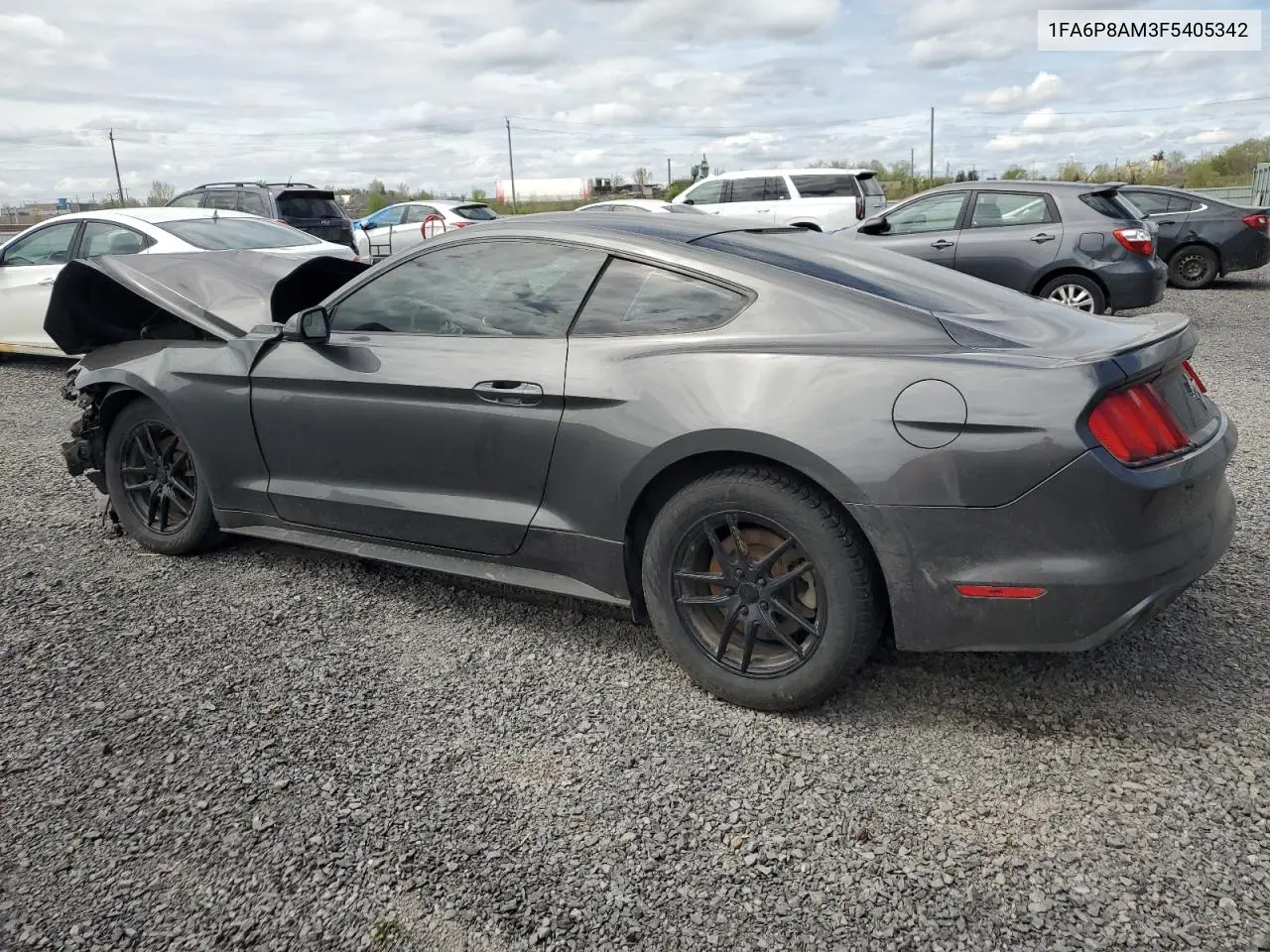 2015 Ford Mustang VIN: 1FA6P8AM3F5405342 Lot: 57100375