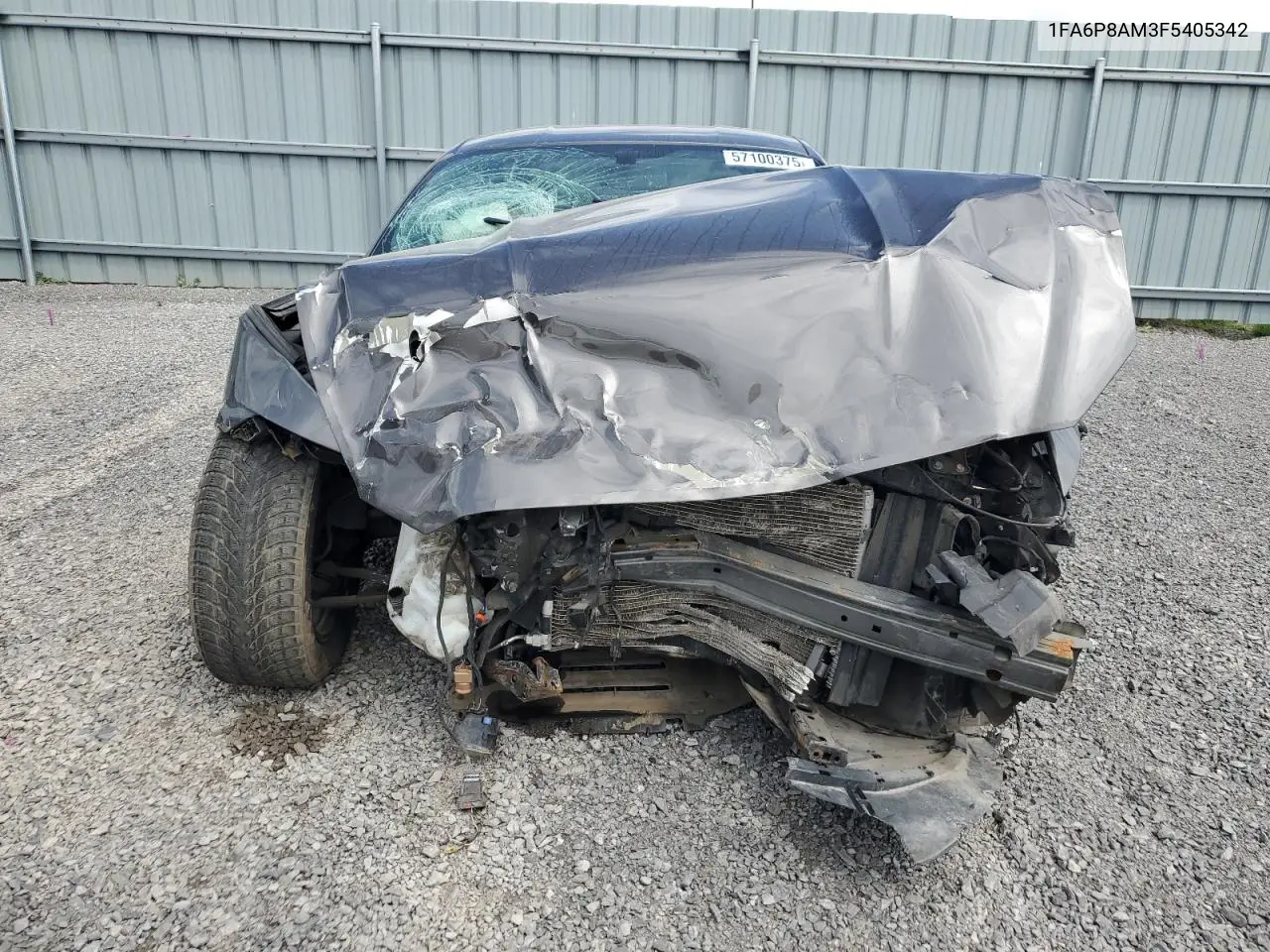2015 Ford Mustang VIN: 1FA6P8AM3F5405342 Lot: 57100375
