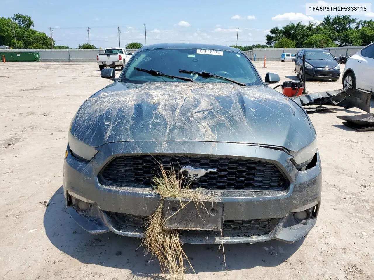 2015 Ford Mustang VIN: 1FA6P8TH2F5338118 Lot: 61018875