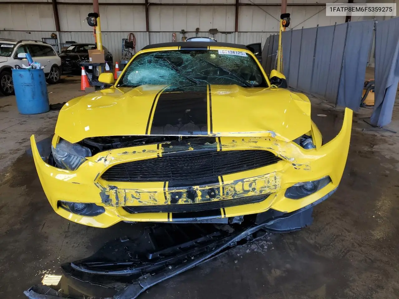 2015 Ford Mustang VIN: 1FATP8EM6F5359275 Lot: 65138125