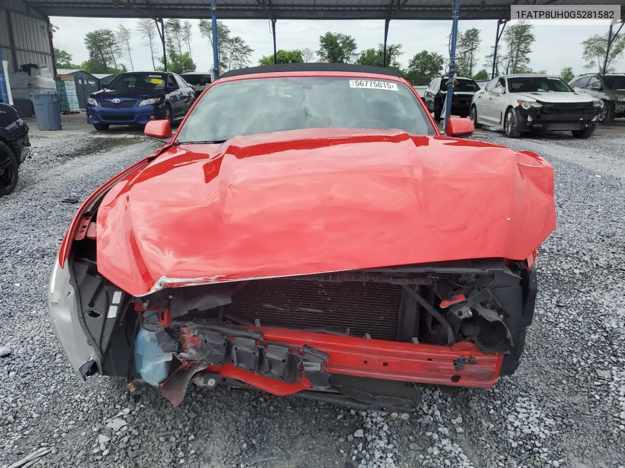 2016 Ford Mustang VIN: 1FATP8UH0G5281582 Lot: 56775015