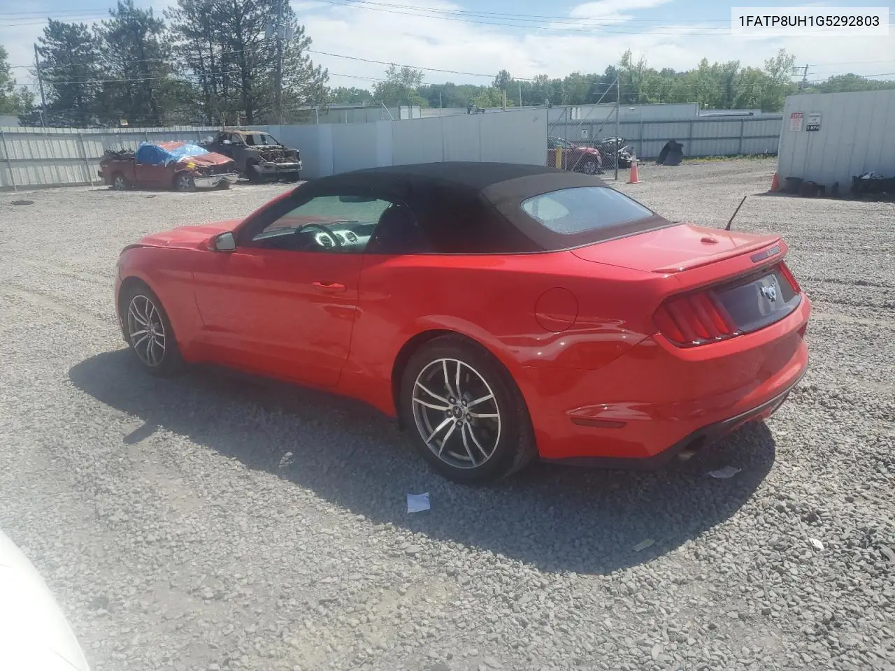 2016 Ford Mustang VIN: 1FATP8UH1G5292803 Lot: 62628745