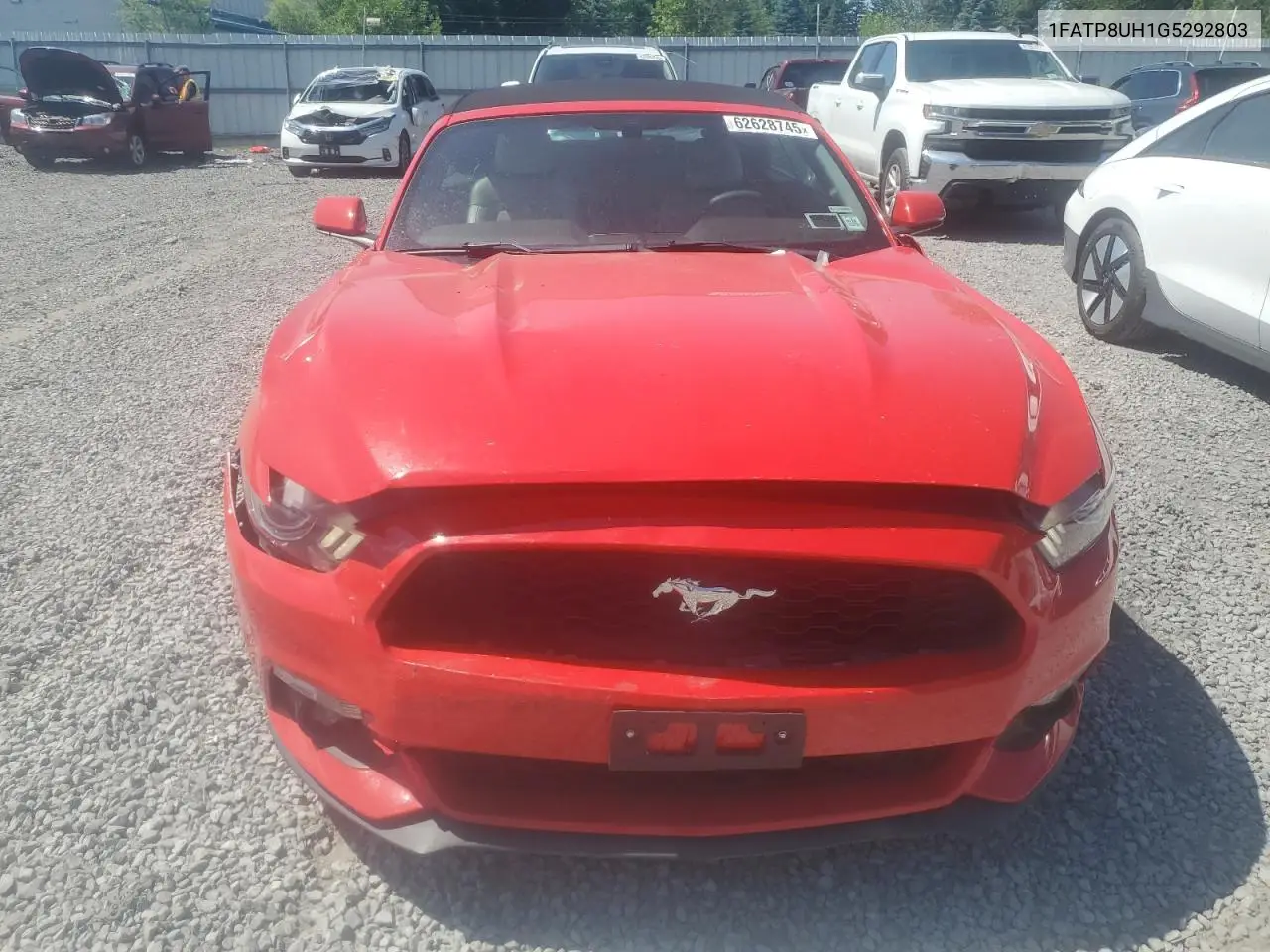 2016 Ford Mustang VIN: 1FATP8UH1G5292803 Lot: 62628745
