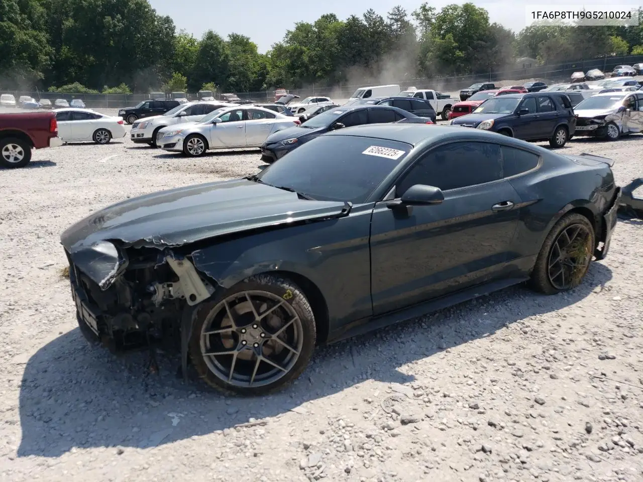 2016 Ford Mustang VIN: 1FA6P8TH9G5210024 Lot: 62662225